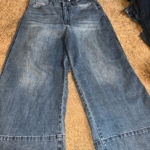 Angels forever young ever luxe curvy high rise size 12